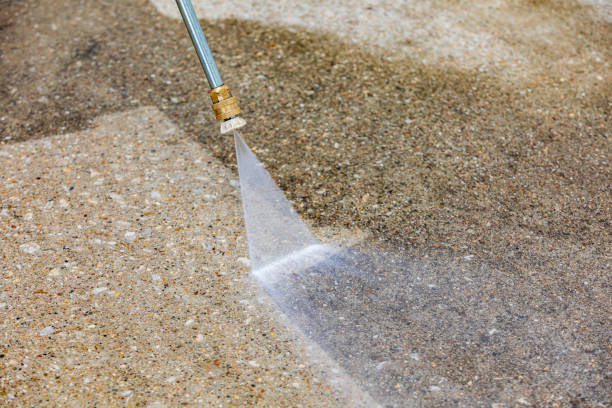 Best Driveway Pressure Washing  in Lake Forest Park, WA